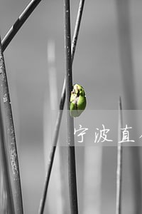 宁波直销银行逾期有宽限吗 宁波直销银行逾期有宽限吗