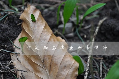 宁波知名专业刑事律师 宁波知名专业刑事律师