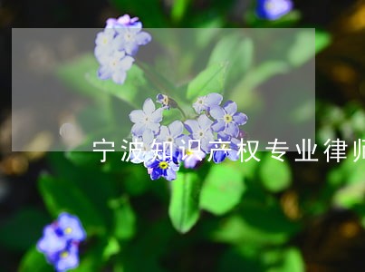 宁波知识产权专业律师 宁波知识产权专业律师