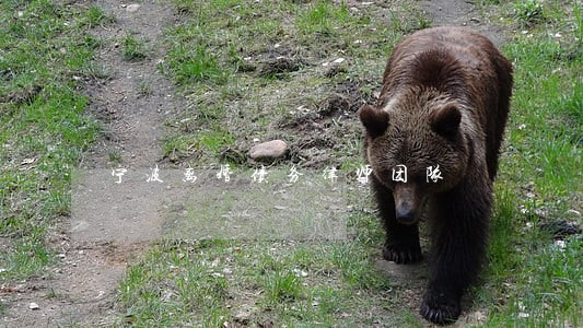 宁波离婚债务律师团队 宁波离婚债务律师团队