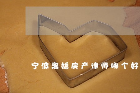 宁波离婚房产律师哪个好 宁波离婚房产律师哪个好