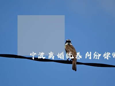 宁波离婚抚养纠纷律师哪个好