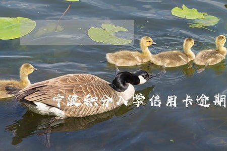 宁波积分入学信用卡逾期扣几分