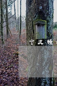 宁波精通离婚债务律师 宁波精通离婚债务律师