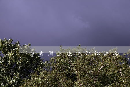 宁波网上法院诉讼平台