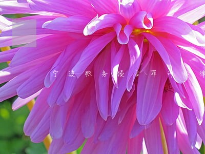 宁波职务侵占罪诉讼律师 宁波职务侵占罪诉讼律师