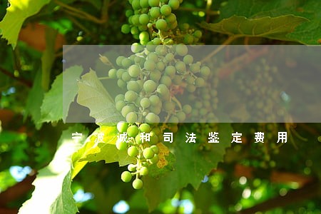宁波诚和司法鉴定费用
