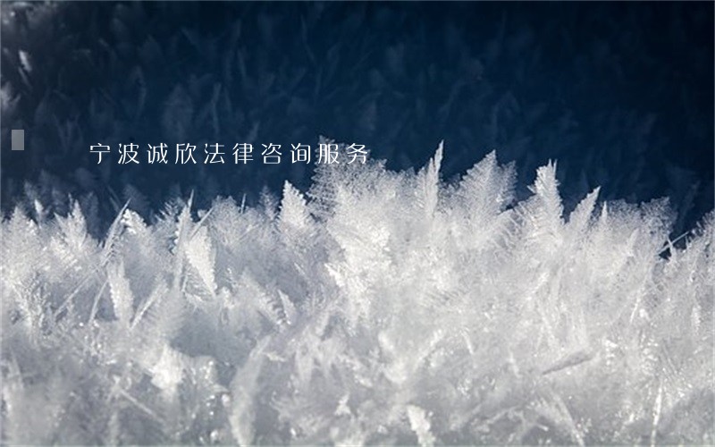宁波诚欣法律咨询服务 宁波诚欣法律咨询服务