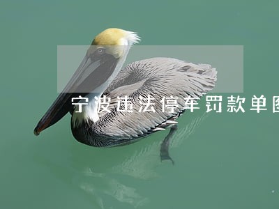 宁波违法停车罚款单图片