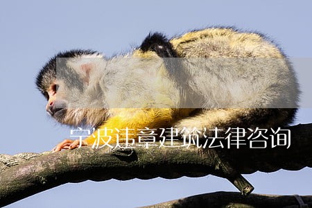 宁波违章建筑法律咨询 宁波违章建筑法律咨询