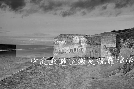 宁波逃避追缴欠税罪律师咨询 宁波逃避追缴欠税罪律师咨询