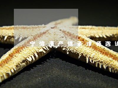 宁波遗产继承律师咨询 宁波遗产继承律师咨询