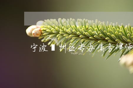 宁波鄞州区专办债务律师诉讼费 宁波鄞州区专办债务律师诉讼费