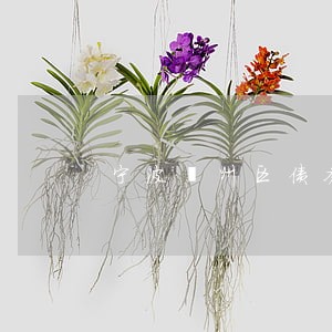 宁波鄞州区债务律师诉讼费