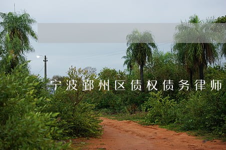 宁波鄞州区债权债务律师咨询费用 宁波鄞州区债权债务律师咨询费用