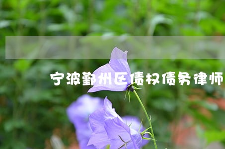 宁波鄞州区债权债务律师哪里找 宁波鄞州区债权债务律师哪里找