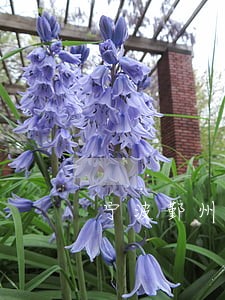 宁波鄞州区债权债务律师诉讼费 宁波鄞州区债权债务律师诉讼费