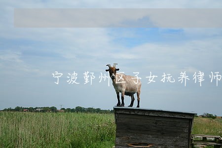 宁波鄞州区子女抚养律师推荐 宁波鄞州区子女抚养律师推荐