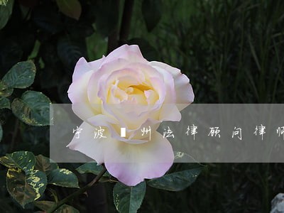 宁波鄞州法律顾问律师 宁波鄞州法律顾问律师