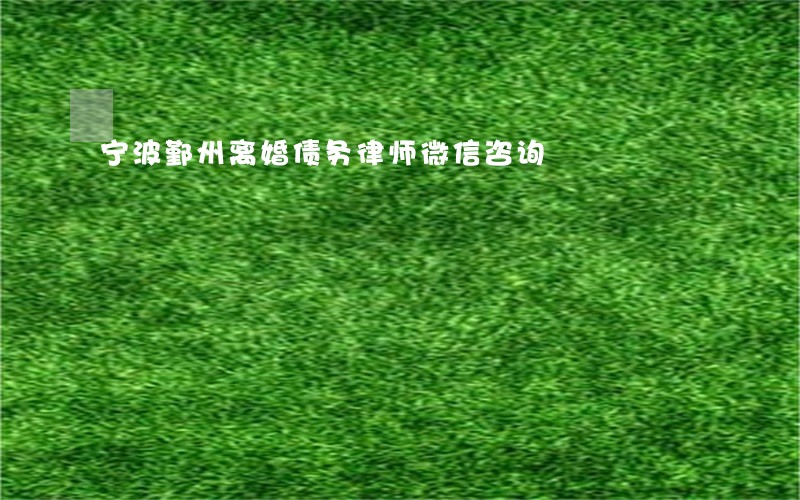 宁波鄞州离婚债务律师微信咨询
