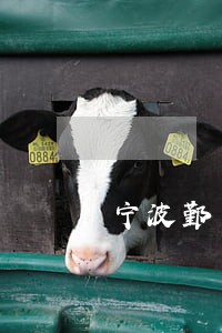 宁波鄞州离婚债务律师推荐 宁波鄞州离婚债务律师推荐