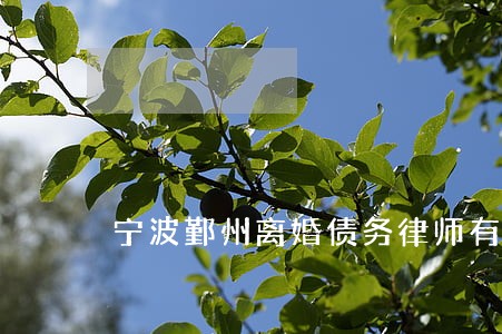 宁波鄞州离婚债务律师有哪些 宁波鄞州离婚债务律师有哪些