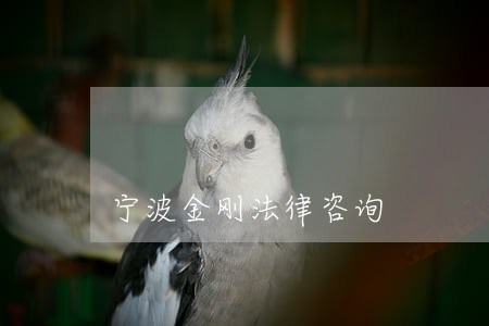 宁波金刚法律咨询 宁波金刚法律咨询