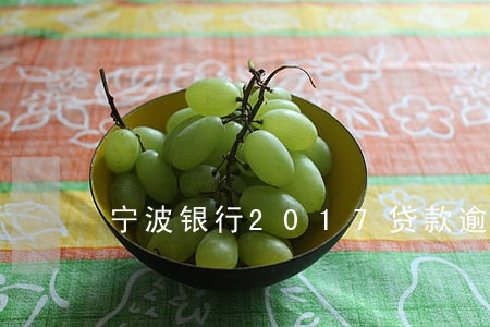 宁波银行2017贷款逾期率 宁波银行2017贷款逾期率