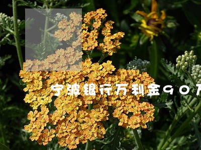 宁波银行万利金90万逾期 宁波银行万利金90万逾期