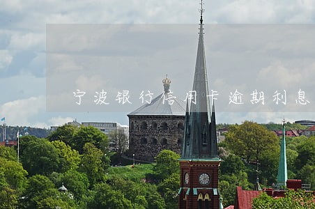 宁波银行信用卡逾期利息减免