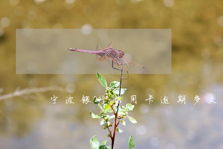 宁波银行信用卡逾期多久会 宁波银行信用卡逾期多久会