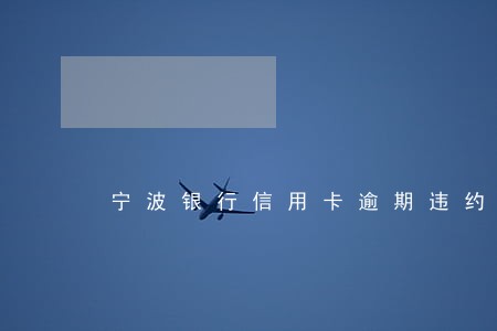 宁波银行信用卡逾期违约金 宁波银行信用卡逾期违约金