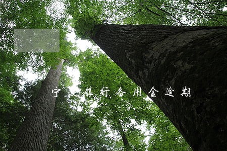 宁波银行备用金逾期 宁波银行备用金逾期