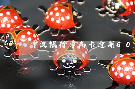 宁波银行尊尚卡逾期60万 宁波银行尊尚卡逾期60万