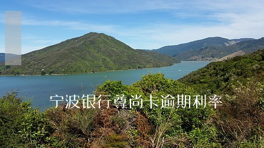 宁波银行尊尚卡逾期利率 宁波银行尊尚卡逾期利率