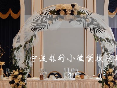 宁波银行小微贷款逾期一天