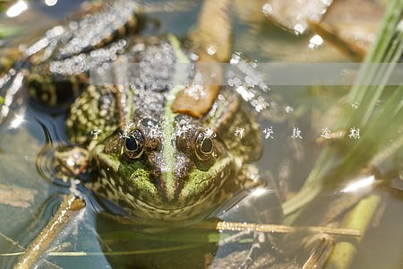 宁波银行抵押贷款逾期 宁波银行抵押贷款逾期