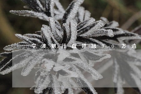 宁波银行白领融30万逾期 宁波银行白领融30万逾期