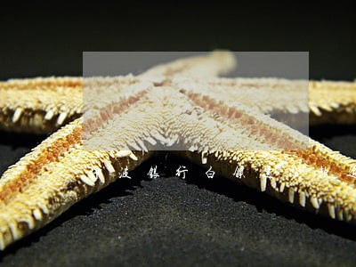 宁波银行白领通贷款逾期 宁波银行白领通贷款逾期