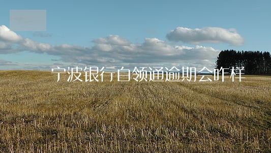 宁波银行白领通逾期会咋样 宁波银行白领通逾期会咋样