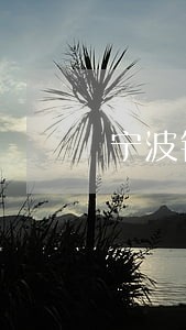 宁波银行直投逾期 宁波银行直投逾期