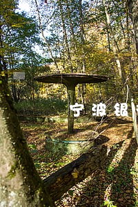宁波银行直接贷逾期会怎样 宁波银行直接贷逾期会怎样