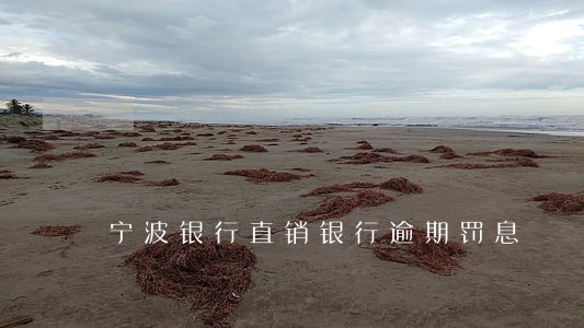 宁波银行直销银行逾期罚息 宁波银行直销银行逾期罚息