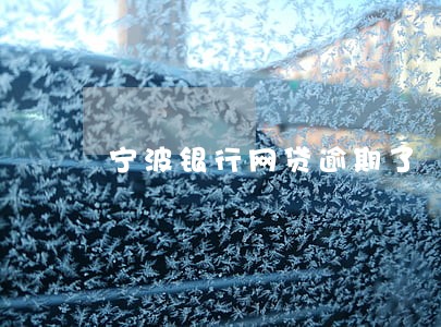 宁波银行网贷逾期了 宁波银行网贷逾期了