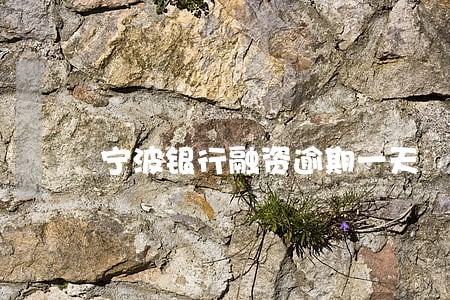 宁波银行融资逾期一天