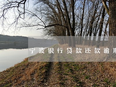 宁波银行贷款还款逾期 宁波银行贷款还款逾期