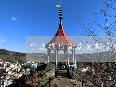 宁波银行贷款逾期了两天