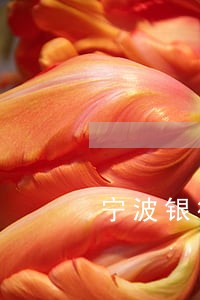 宁波银行车贷逾期