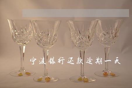 宁波银行还款逾期一天 宁波银行还款逾期一天