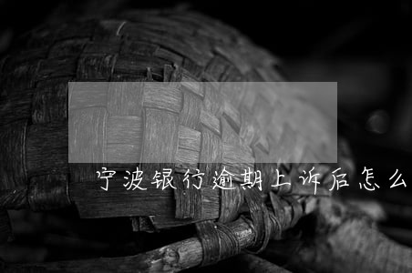 宁波银行逾期上诉后怎么处理 宁波银行逾期上诉后怎么处理